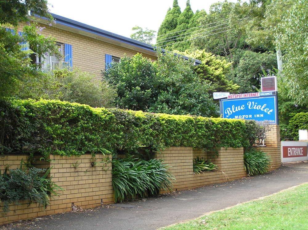 Blue Violet Motor Inn Toowoomba Zewnętrze zdjęcie